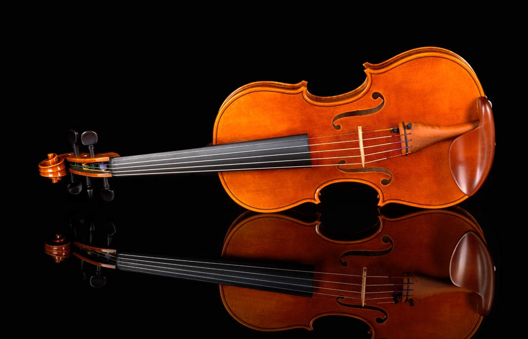 Daniel Ross 5 string violin 2